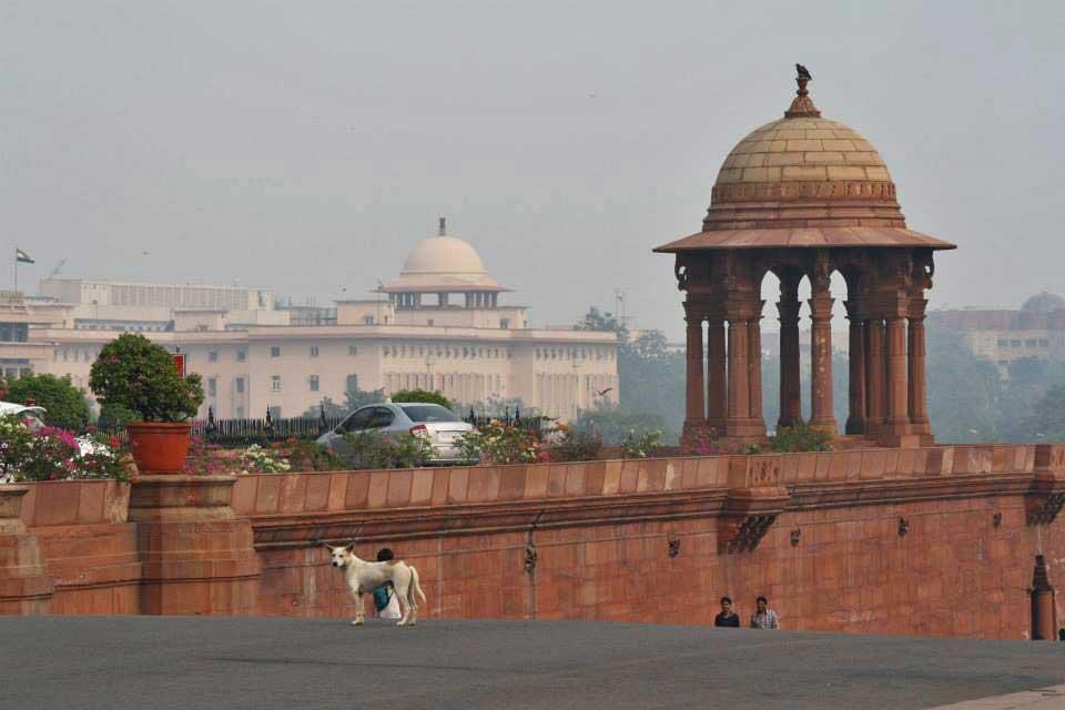 delhi-parliament