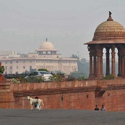 delhi-parliament.jpg