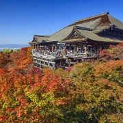 kiyomizudera-temple-autumn-kyoto.jpg