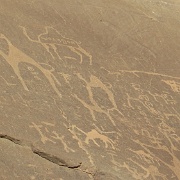 petroglyphs-wadi-rum.jpg