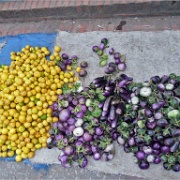 lime-lemon-egg-plant-luang-prabang-laos.jpg