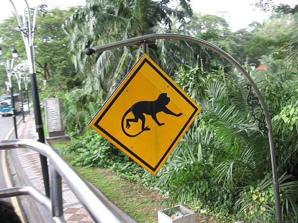monkey-crossing-sign-kuala-lumpur-malaysia