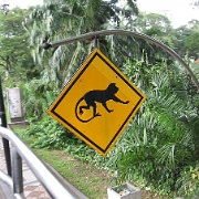 monkey-crossing-sign-kuala-lumpur-malaysia.jpg