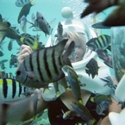 fish-whisperer-sapi-island-malaysia.jpg