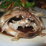 seafood-dinner-sapi-island-malaysia.jpg