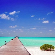 dock-maldives.jpg