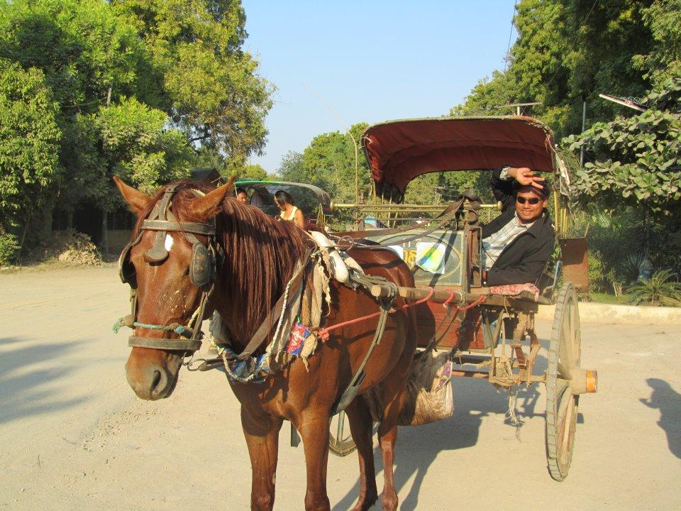 horsecart-and-driver-bagan-myanmar