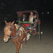 horsecart-bagan-myanmar.jpg
