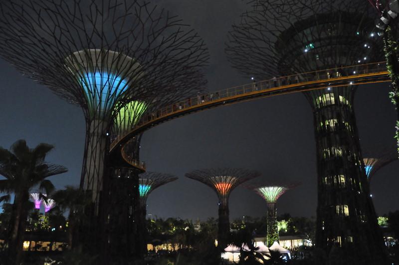 Gardens by the Bay, Singapore 10588306