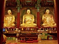 Jogyesa Buddhist Temple 9671516.jpg