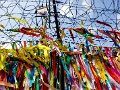 Millions of prayer ribbons, Korea DMZ 14053202.jpg
