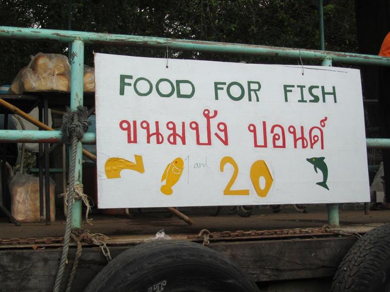 Feed the catfish, Bangkok 103