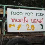 feed-the-catfish-bangkok.jpg