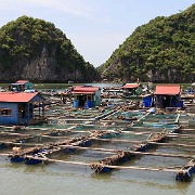halong-bay-floating-fishing-village.jpg