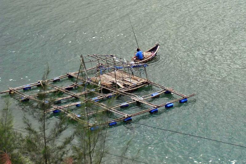 Fish farming, near Hue 37