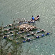 fish-farming-near-hue-vietnam.jpg
