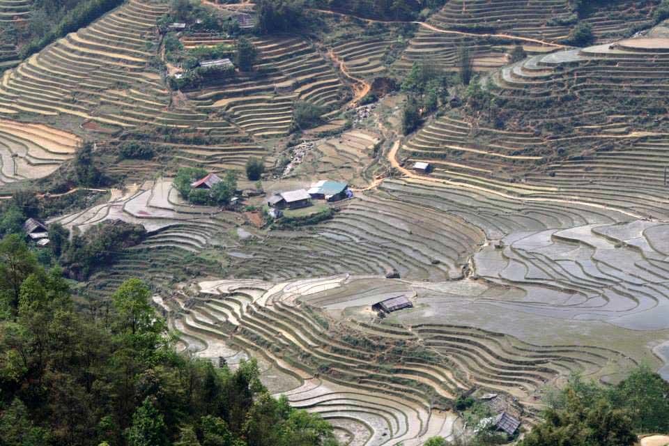 sapa-rice-terraces-vietnam-2