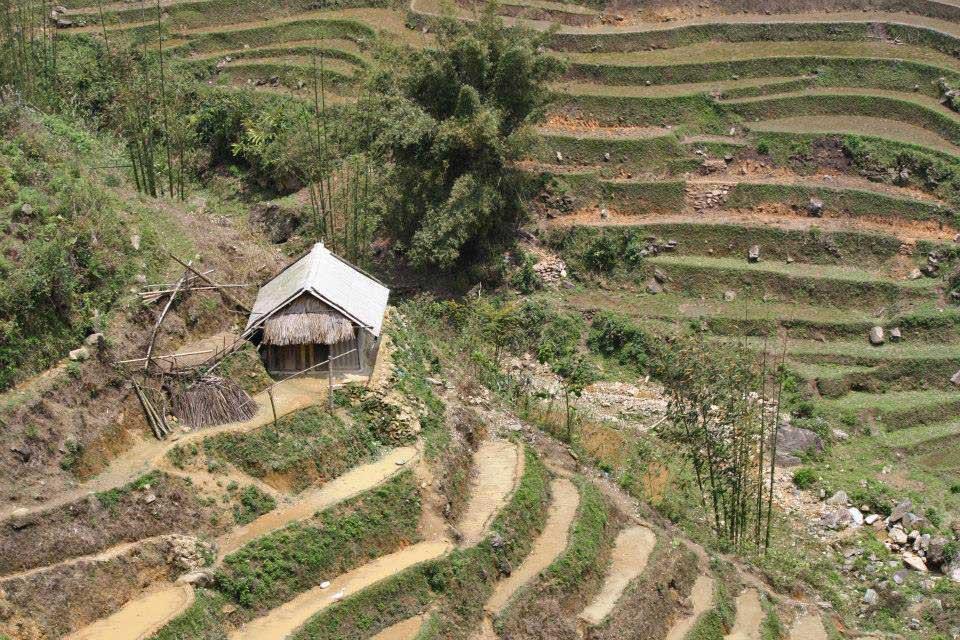 sapa-rice-terraces-vietnam-6