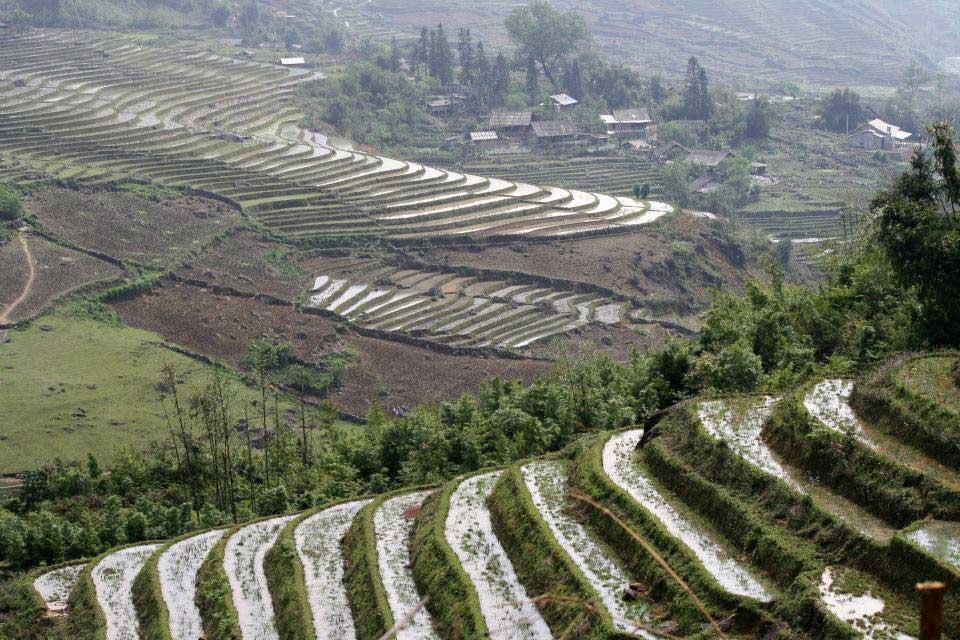 sapa-rice-terraces-vietnam