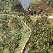 sapa-rice-terraces-trail-vietnam.jpg