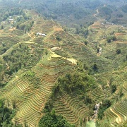 sapa-rice-terraces-vietnam-1.jpg
