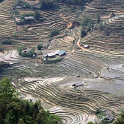 sapa-rice-terraces-vietnam-2.jpg