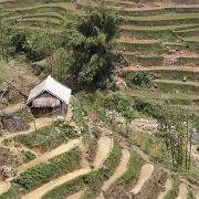 sapa-rice-terraces-vietnam-6.jpg