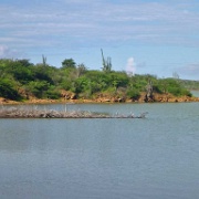 Flamingo nesting site, Gotomeer, Bonaire 15.JPG