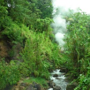Fumerole steam vents Dominica 106.jpg