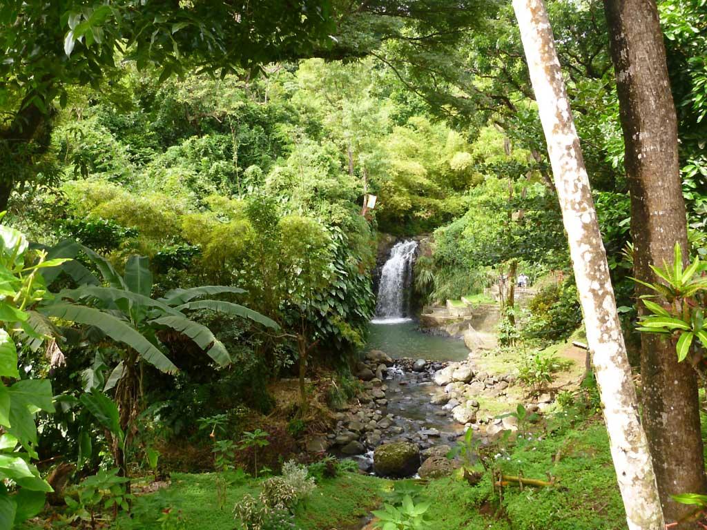 Annandale Falls, Grenada 15