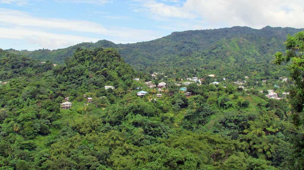 Rainforest, Grenada 05