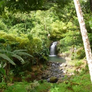 Annandale Falls, Grenada 15.JPG