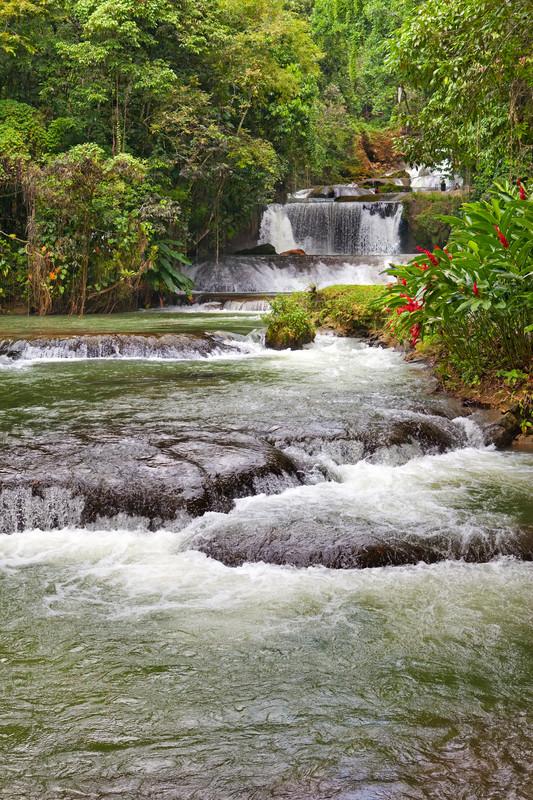 Dunn's River Falls, Ocho Rios, Jamaica 10985756