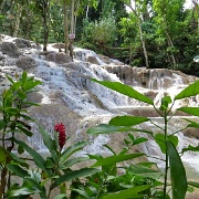 Dunn's River Falls, Ocho Rios, Jamaica 7401.JPG