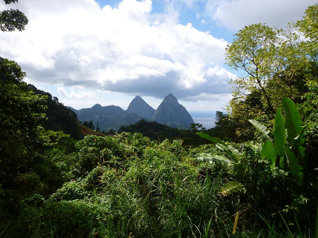 The Pitons, St Lucia 20