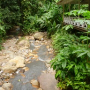 Diamond Botanical Garden, St Lucia 23.JPG