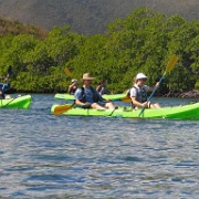 Kayaing, Mangrove Lagoon, St Thomas 3.jpg