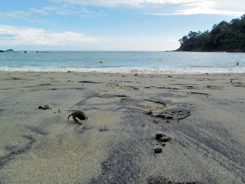 Beach at Manual Antonio, Costa Rica 148