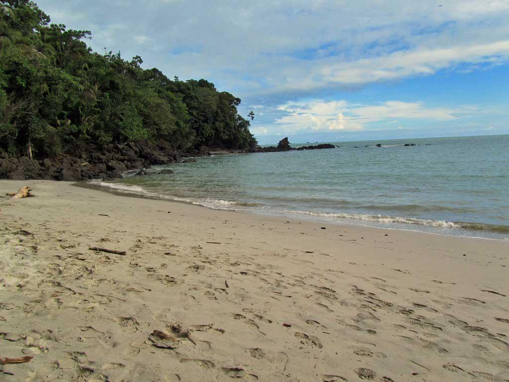 Beach at Manuel Antonio 146