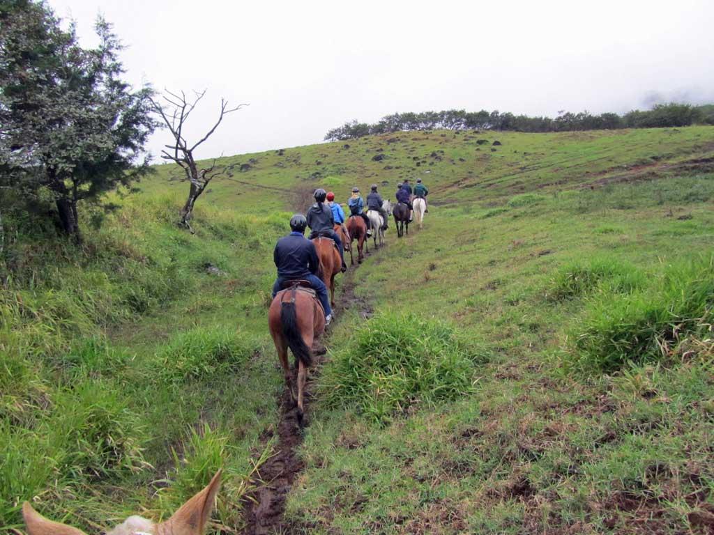 Monteverde horseback riding 120