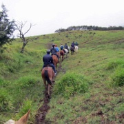 Monteverde horseback riding 120.jpg