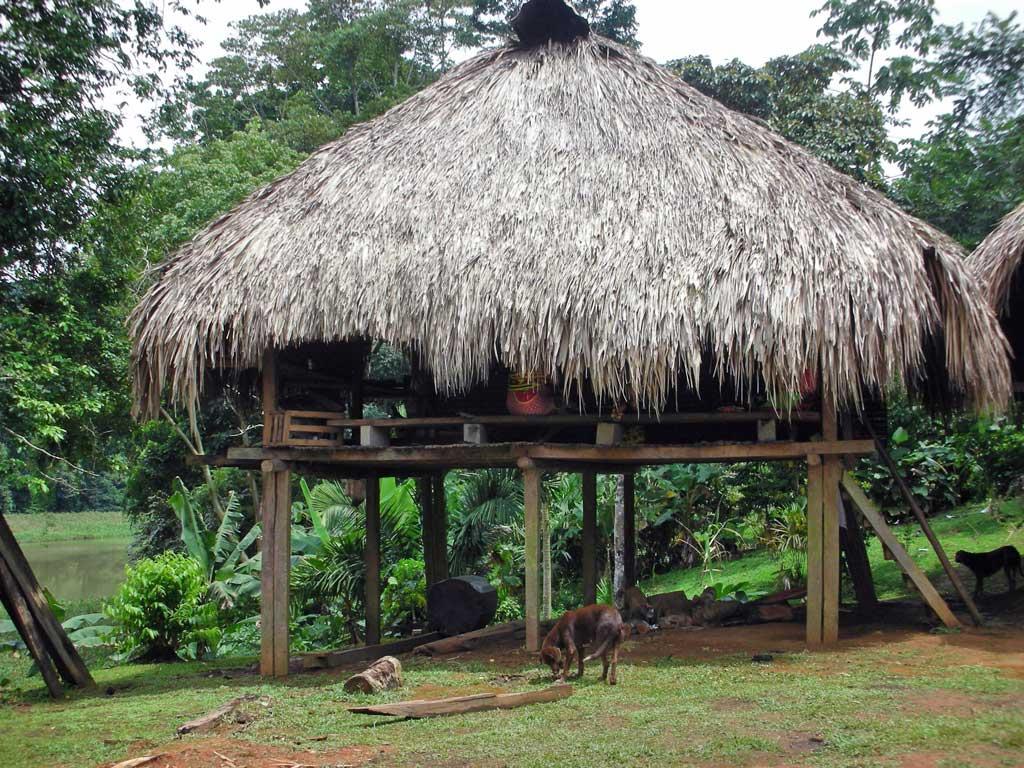 Embera housing on stilts, Panama 06