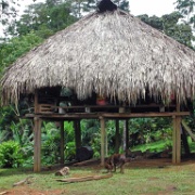 Embera housing on stilts, Panama 06.JPG
