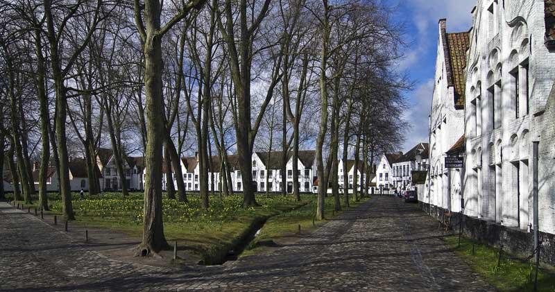 Beguinage, Begijnhof, Bruges 14595448