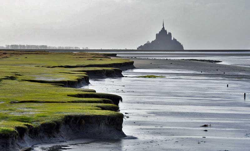 Mont St Michel from Roche Torin 8059886