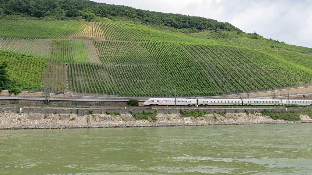 Rhine River vineyards