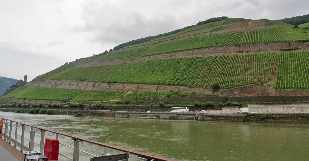 Rhine near Rudesheim