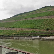 Rhine near Rudesheim.jpg