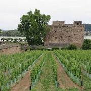 Rheingauer Weinmuseum.jpg