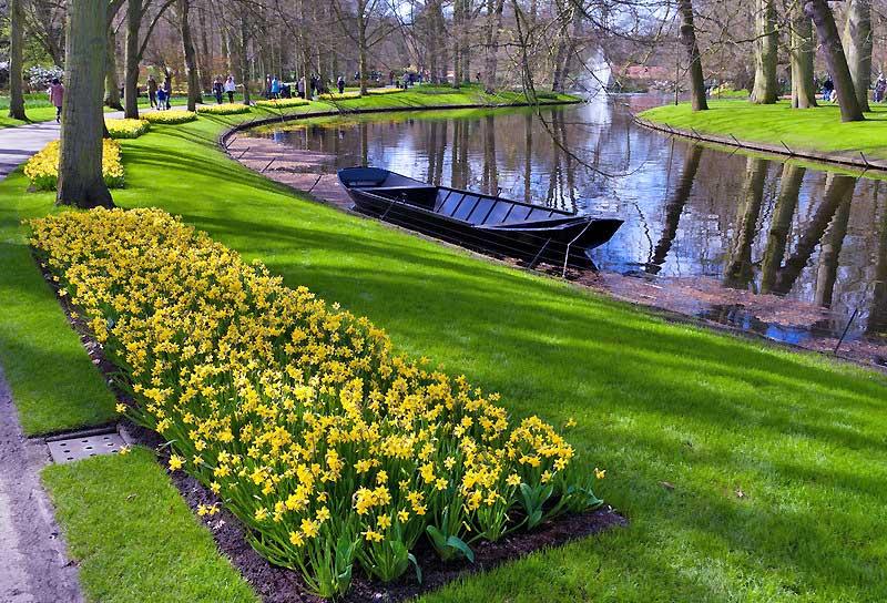 Keukenhof Garden, Lisse, Netherlands 9181607